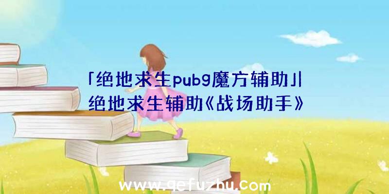 「绝地求生pubg魔方辅助」|绝地求生辅助《战场助手》